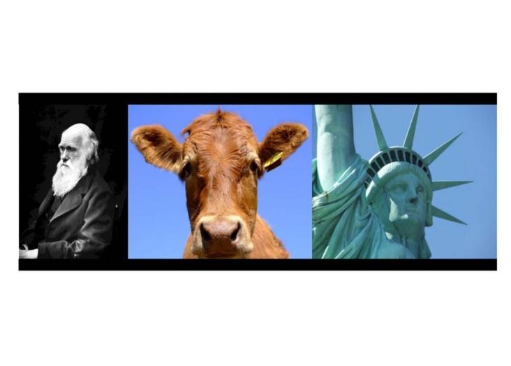 EvoS-2: Evolutionary Studies - applying evolutionary thinking outside the biology realm 2021-2022