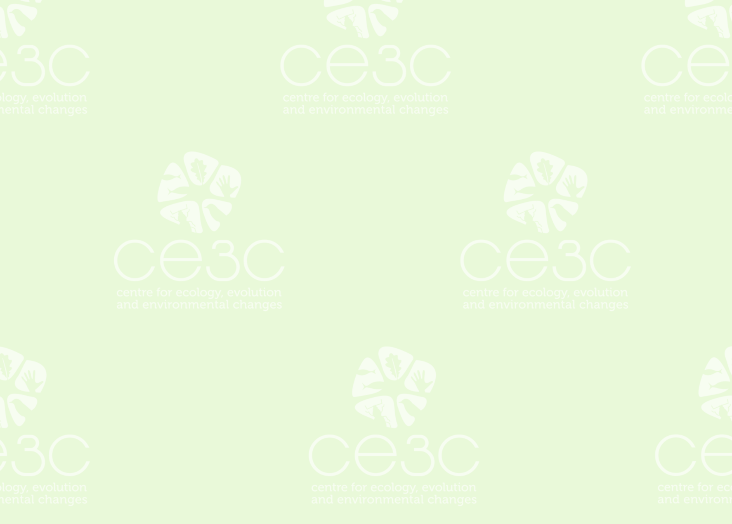 Natural selection preserves trans-specific chloroplast diversity in a Mediterranean evergreen oak