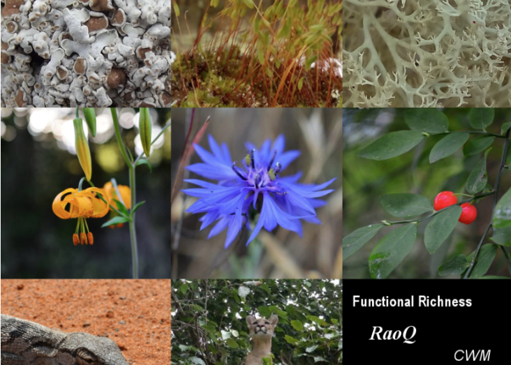Hands on Functional Diversity: from Ecological Indicators to Ecosystem Services 2026-2027