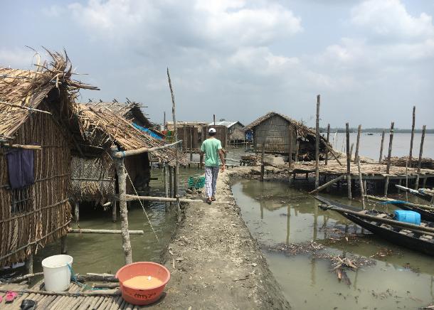 Nature-based solutions can help to make coastal agriculture in Bangladesh more resilient