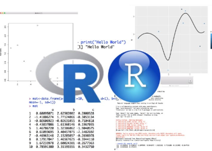 Introduction to R programming and biological data analysis 2026-2027