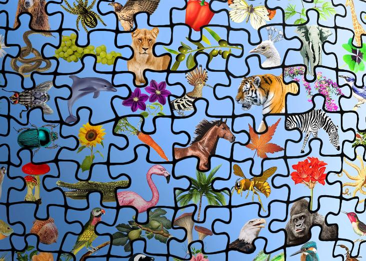 Measuring Biodiversity: How to get data, assess its quality and measure different aspects of diversity 2023-2024