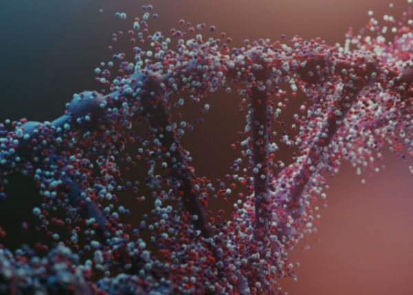 LAMA2-MD: analyzing the impact on tendons