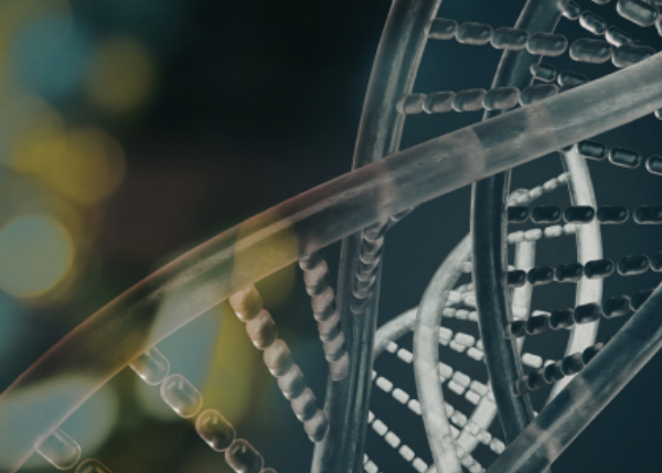 Reading evolutionary constraint with deep learning: from rare disease to endangered species