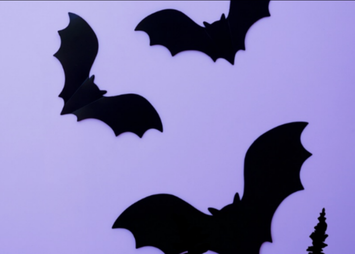 Workshop: ‘Who’s Afraid of the Dark?’