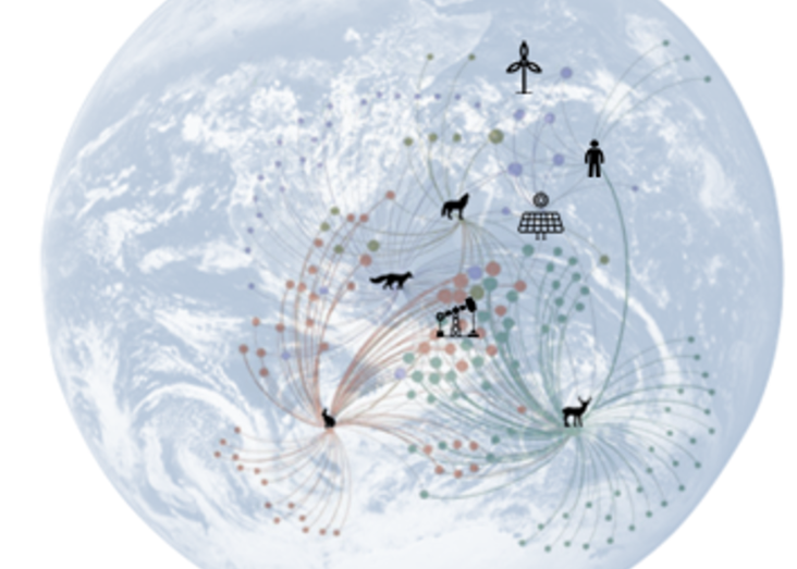 Policrisis, Horizons and Directions for sustainable futures - A Socio-Ecological toolkit for impactful doctoral research 2026-2027