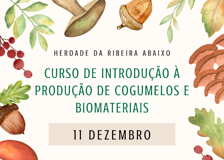 Curso de introdução à produção de cogumelos e biomateriais