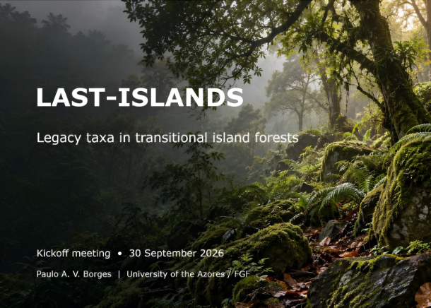 LAST-ISLANDS aims to discover where rare endemic species survive in the Azores’ exotic forests