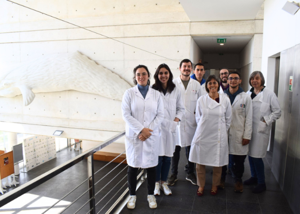 Alternativas “verdes” podem transformar a forma como extraímos compostos das plantas