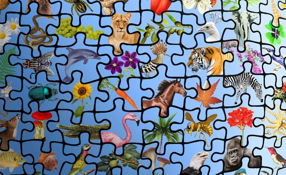 AC Measuring Biodiversity 2025/2026 AC Measuring Biodiversity 2025/2026