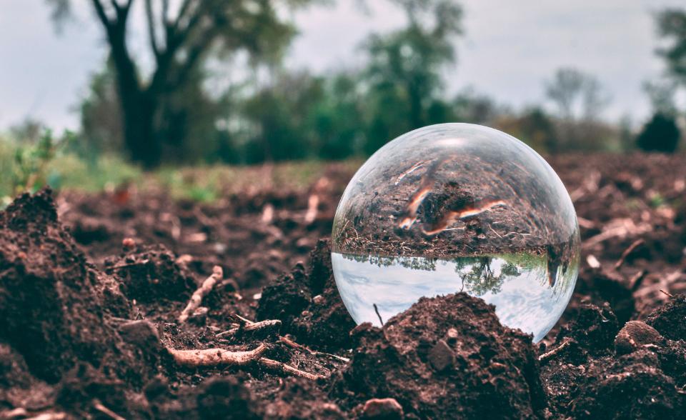 AC Soil Ecology 2025/2026 AC Soil Ecology 2025/2026