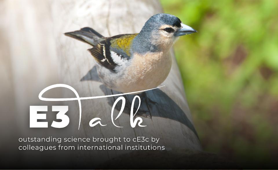 E3Talk - Thomas Matthews birds