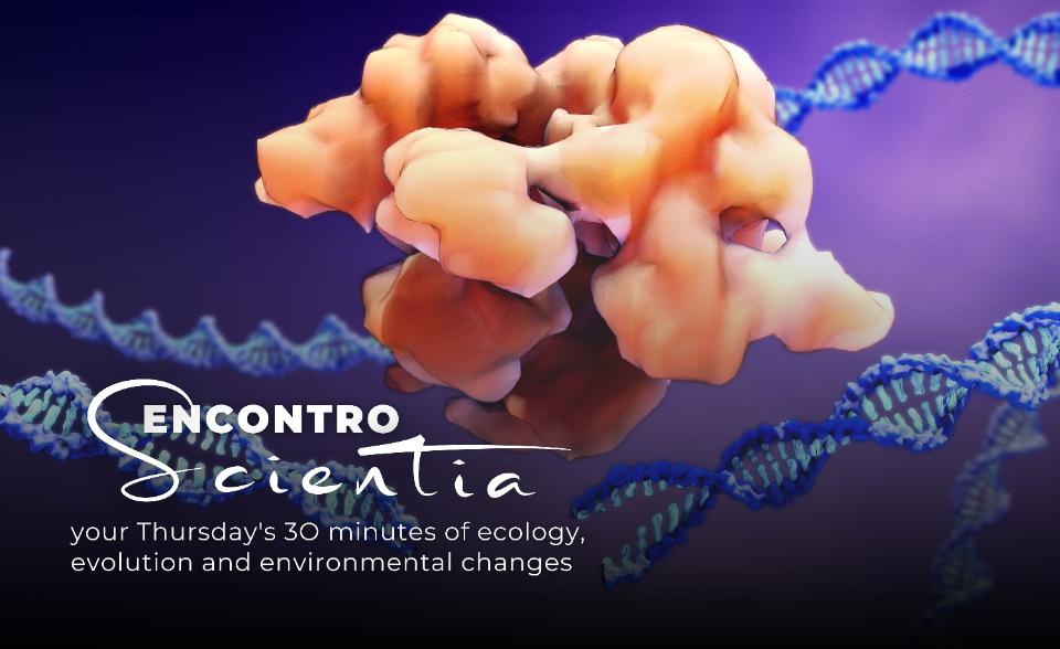 ES - Diogo Fernandes gene therapy