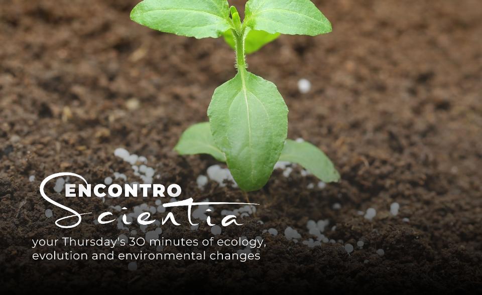 ES - Cristina Cruz fertilizers