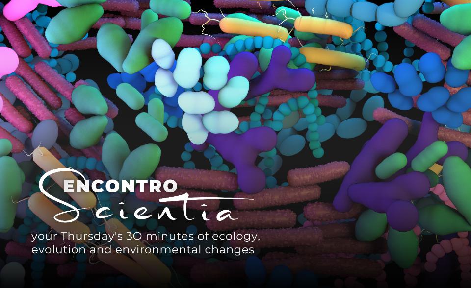 ES - Teresa Nogueira microorganisms