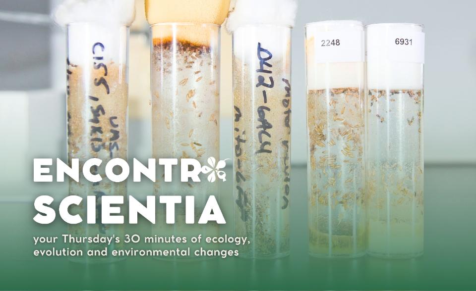 Es - Marta Antunes Drosophila