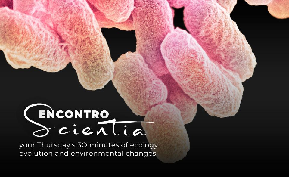 ES - Francisco Dionísio Escherichia coli