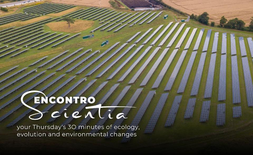 ES - Fernando Ascensão solar farms