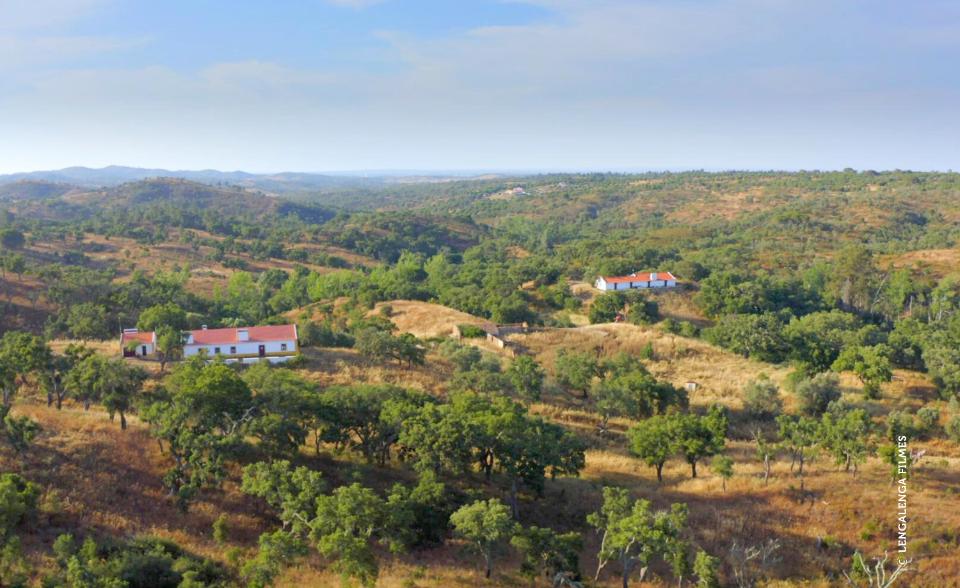 CE3C Field station - Herdade da Ribeira Abaixo ES - Fernando Ascensão